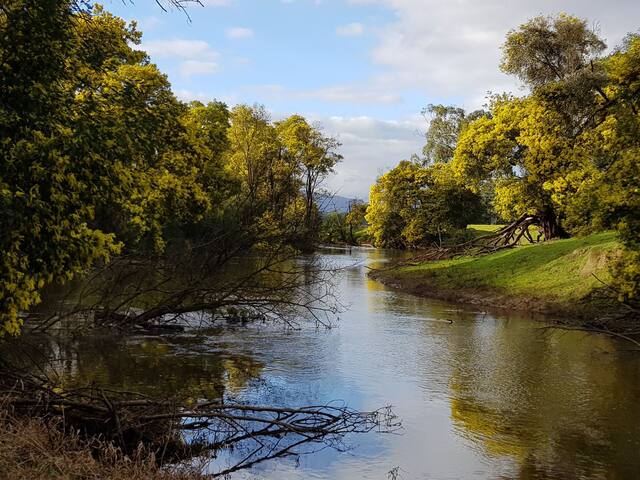 Yarra Park in the Yarra Valley gallery image 4