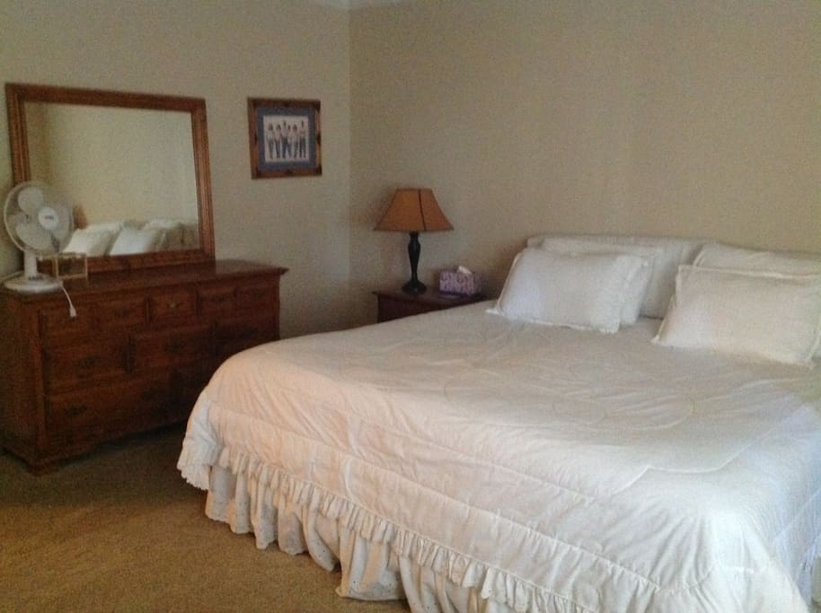 Master Bedroom with king sized bed