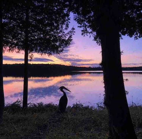 Lakefront Manitoulin Island Cottage