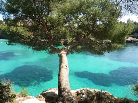 Cala d'Mallorcan dream right by the sea
