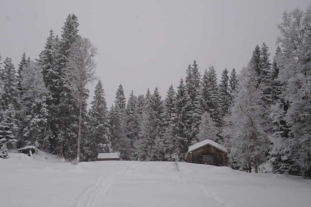 Urvassbua og uthuset. Utedo i skogen til høyre for hytta.