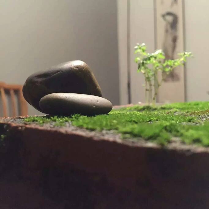 禅意之美