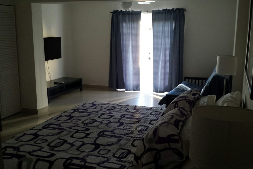 2nd Master Bedroom with its own exit to the backyard. Has its own master bathroom and walk in closet