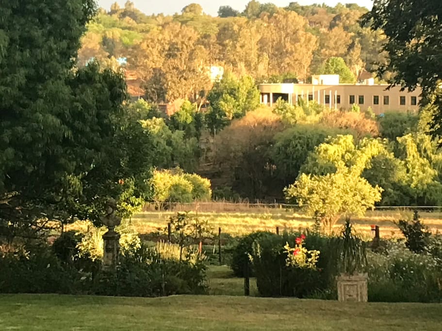 Evening garden