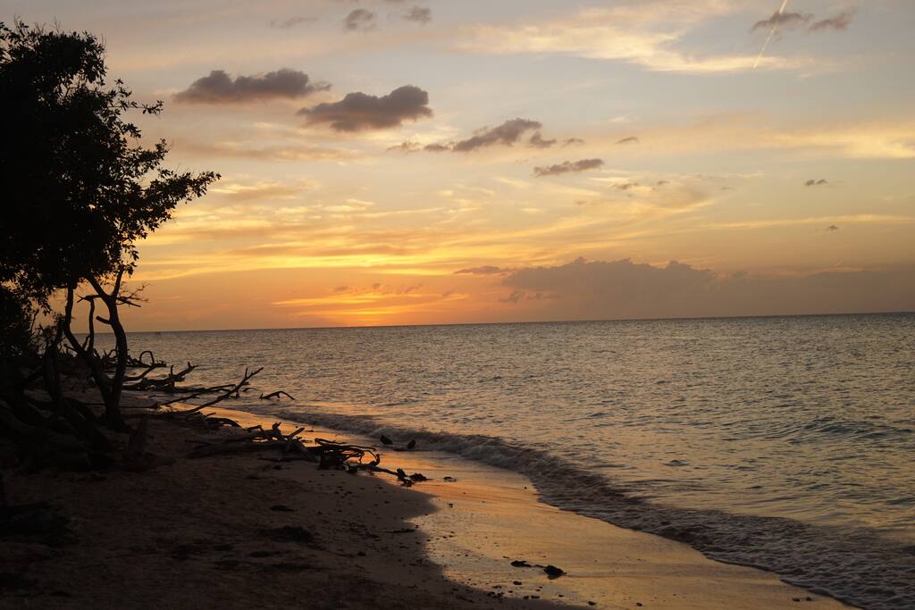 Playa a la tardezer