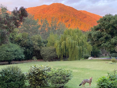 The Bells at Comfy Cozy Cute Cottage