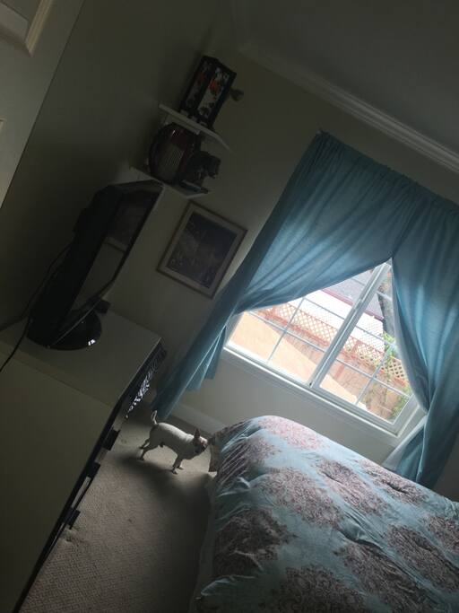 Room comes fully furnished with TV, DVD, Roku Stick (Netflix and Amazon Prime pre-programmed)