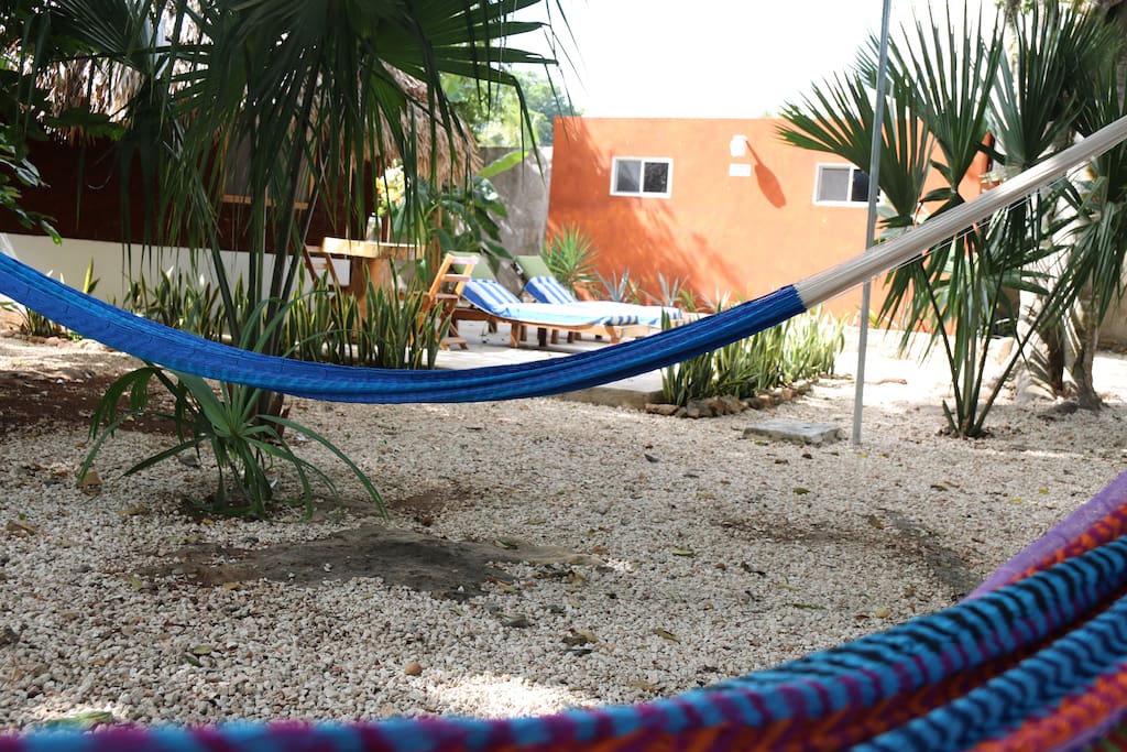 Pleasant garden with fruit trees such as anona, lemon and banana trees also beautiful plants and vegetation from the Yucatan state.