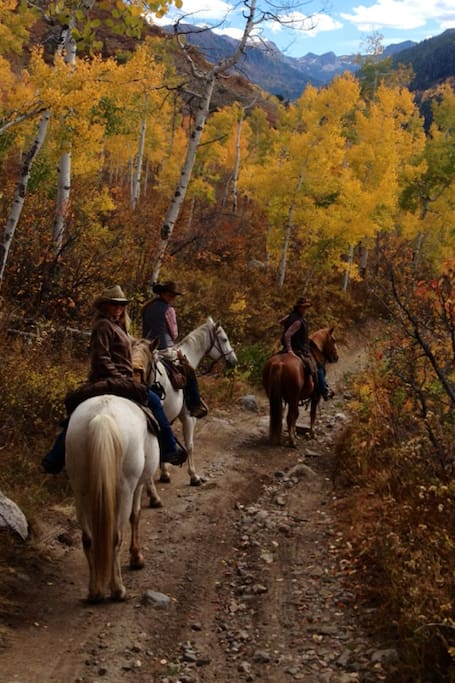 A fall horseback ride (select dates, reserve in advance)