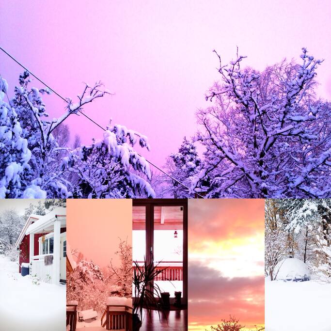 House and garden, winter