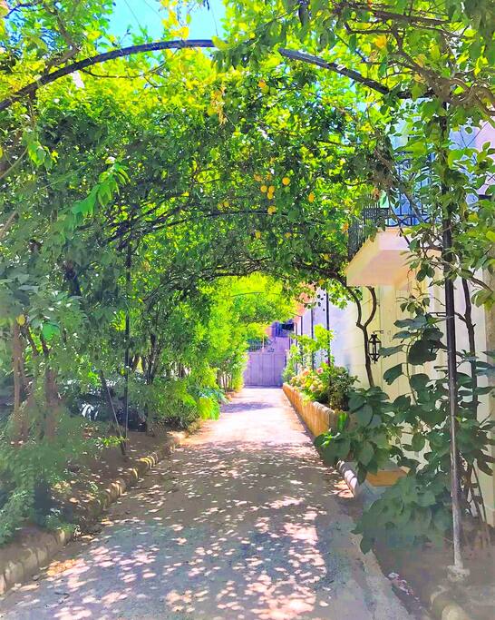 Il Viale