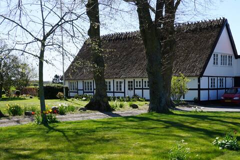 Top performing Airbnb: Little Barn in Faxe