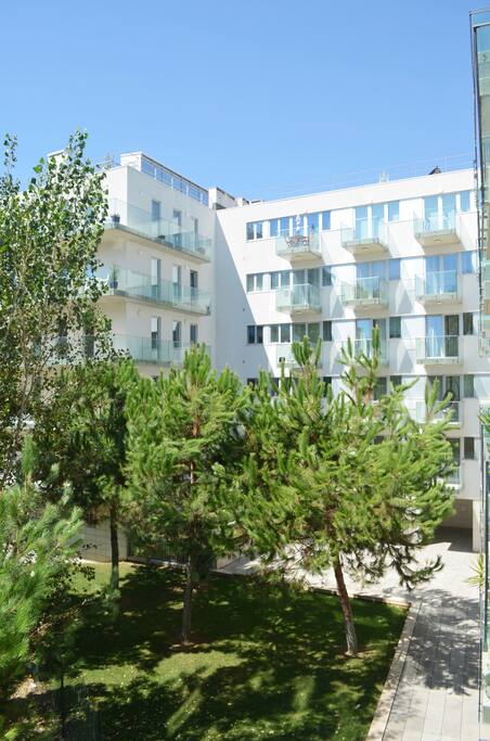CONDOMINIUM