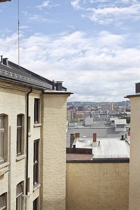 View from the kitchen