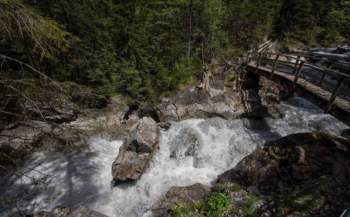 A wooden bridge spans a rushing river surrounded by dense green trees. The water cascades over the rocks, creating a lively flow. Moss-covered stones are visible along the riverbanks, enhancing the natural landscape.