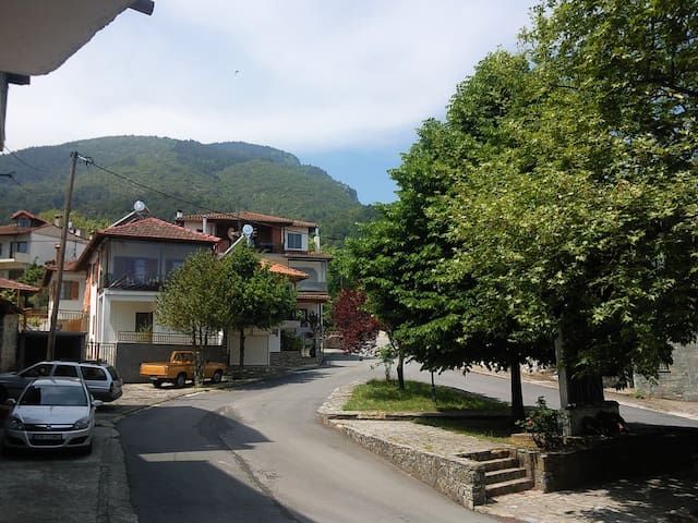 Apartment near Olympus mountain