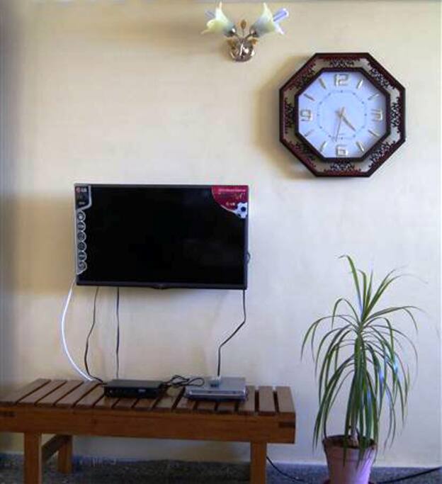 TV y DVD player