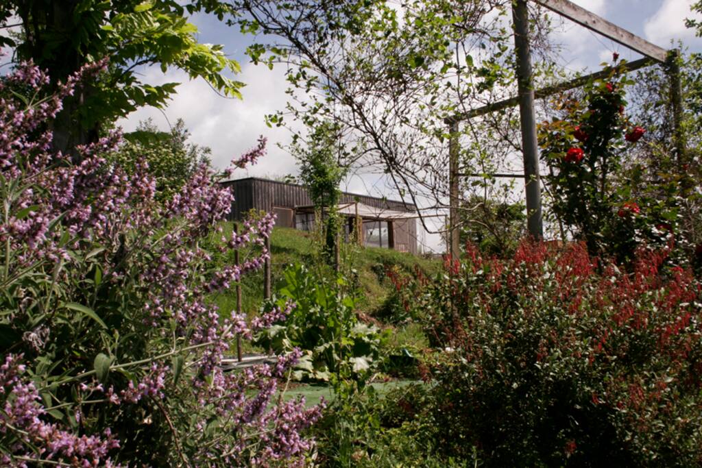 Personne devant, que le jardin et quelques vaches en contrebas