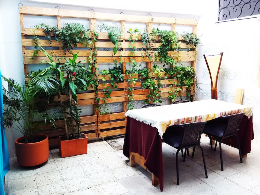 Comedor con jardín vertical