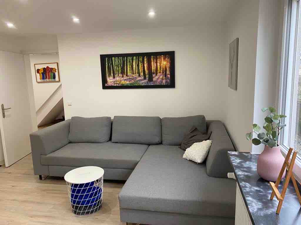 A modern living area features a grey sectional sofa arranged comfortably in a corner. A white round table sits nearby, accompanied by a small green plant. A large framed print of a forest hangs on the wall, and bright lighting enhances the spacious atmosphere.