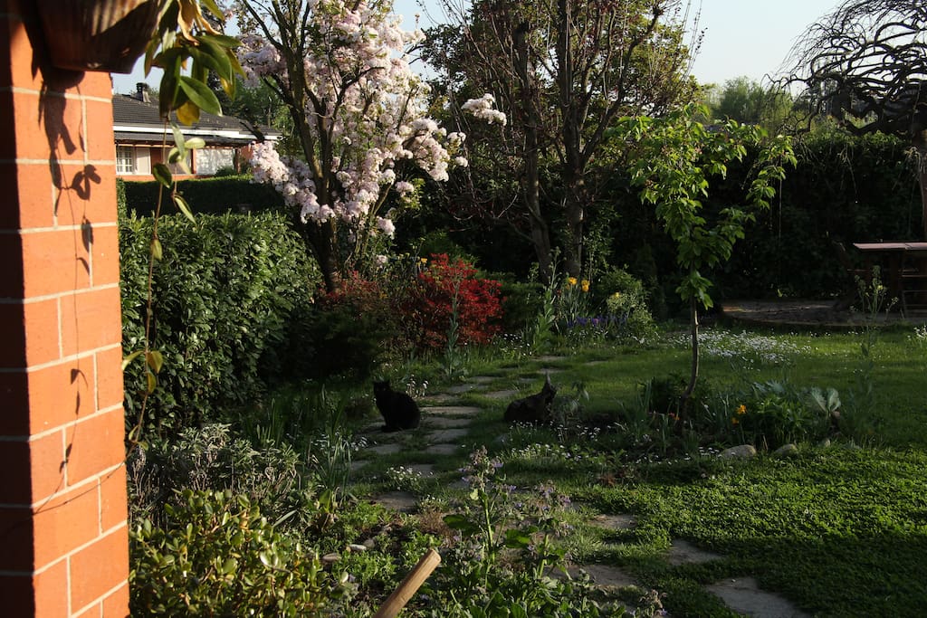 garden