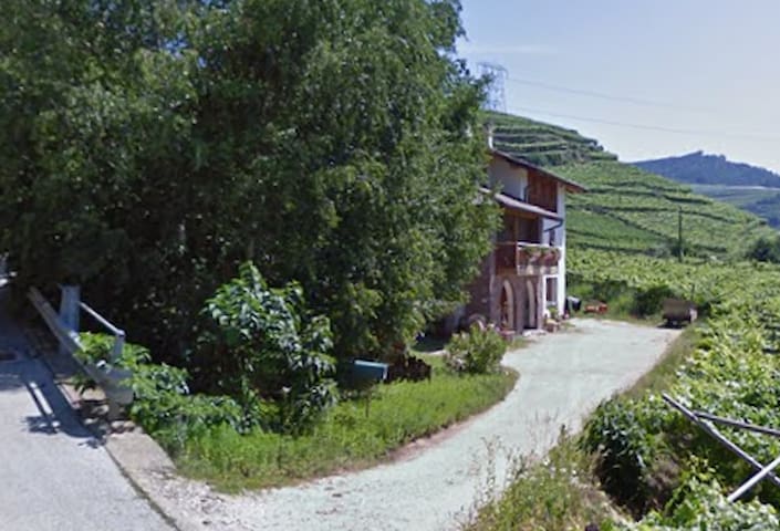 VILLA IRMA: peacefulness, vineyards and Dolomites