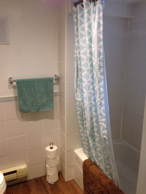 Four piece bathroom shower and small tub