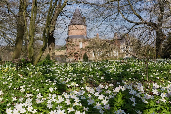 Gîte dans le Parc du Manoir