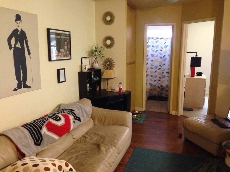 Living Room with a very comfortable couch
