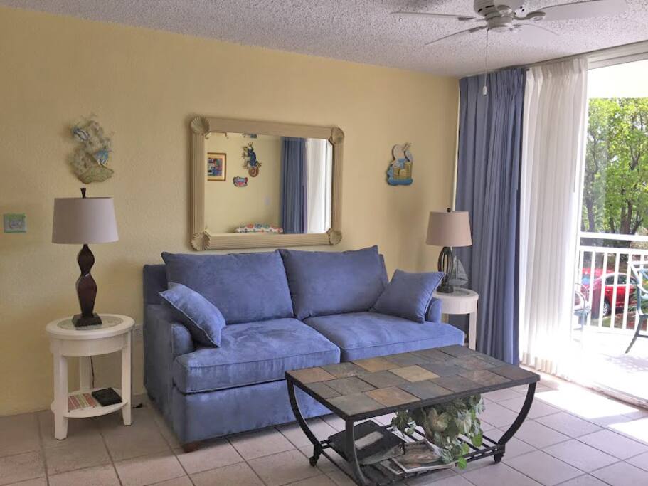 Living room with sleeper sofa