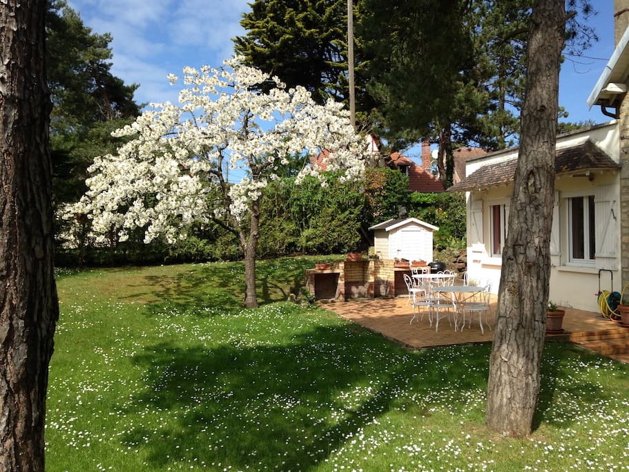 Terrasse / Jardin