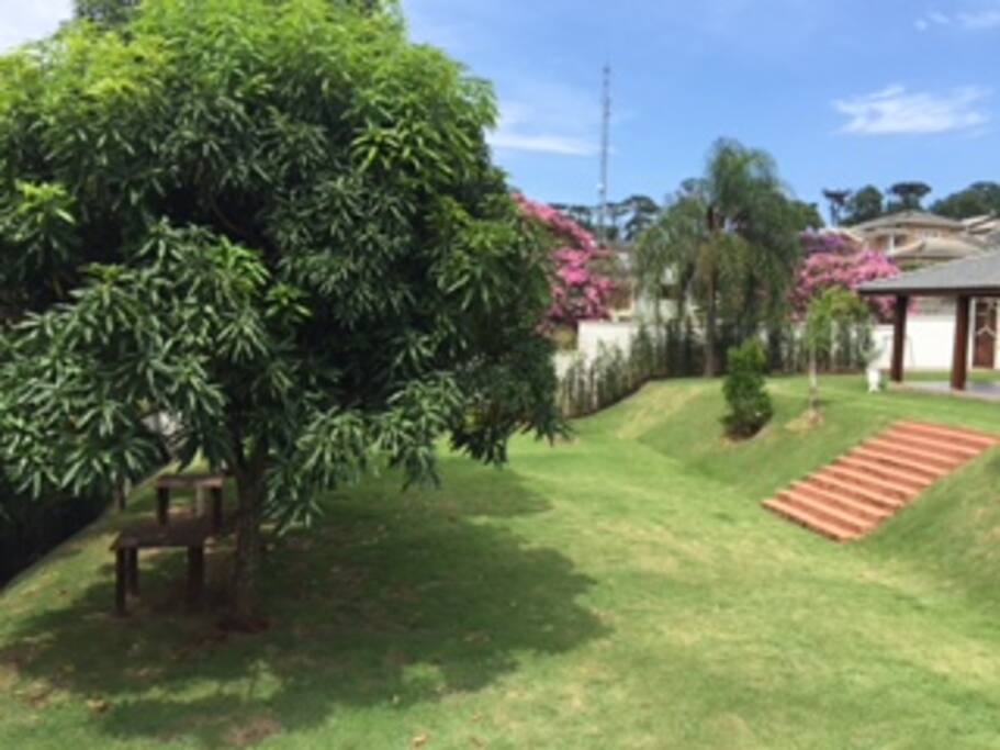Mini Campo