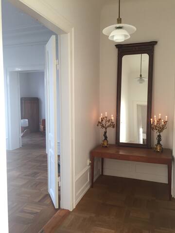 Historical 400 m2 apartment with lakeview Cph City gallery image 4