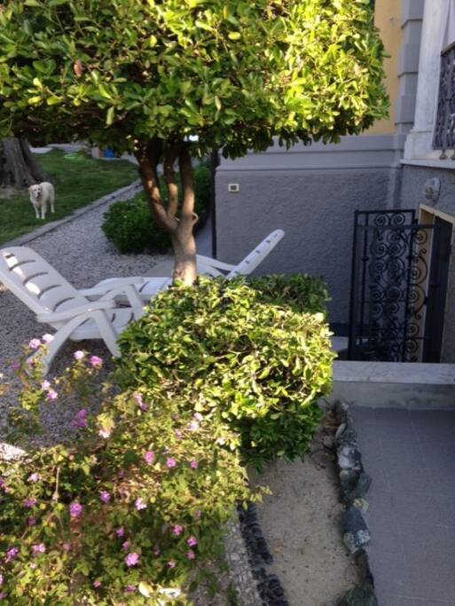 L'ingresso dal giardino