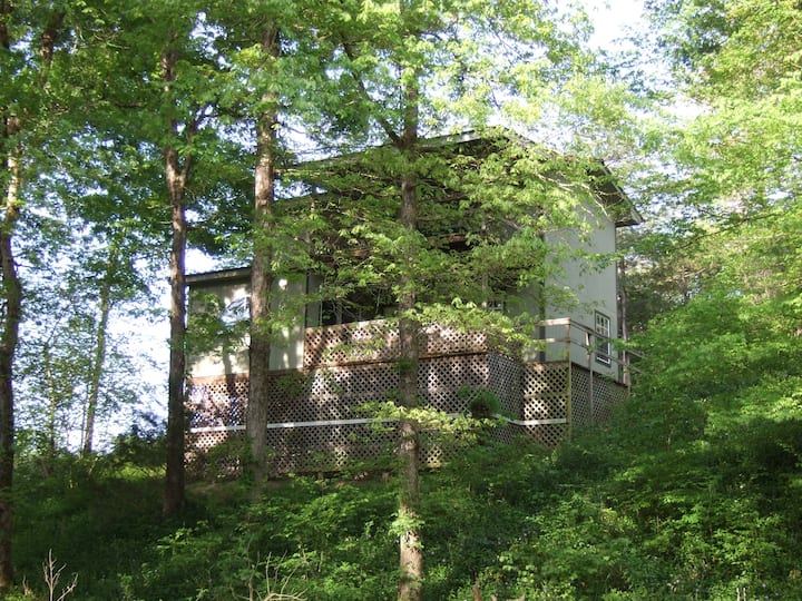 Mount Ida Cabins Cabins and More Airbnb