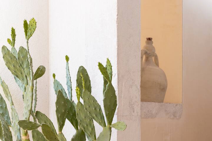 Corte dei Nobili con giardino