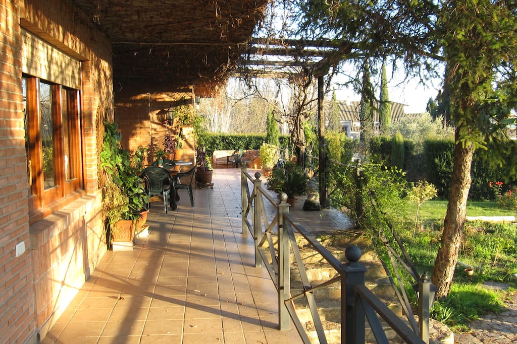 Terrace - Terraza sobre jardín 01