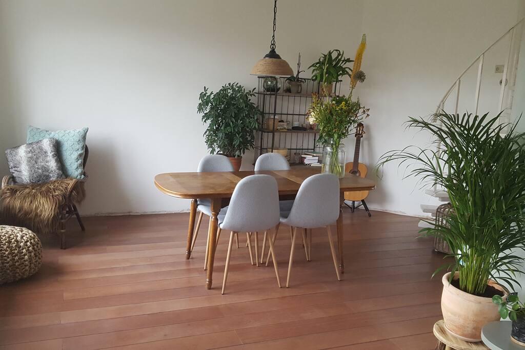 Living room...please water my plants if you stay long