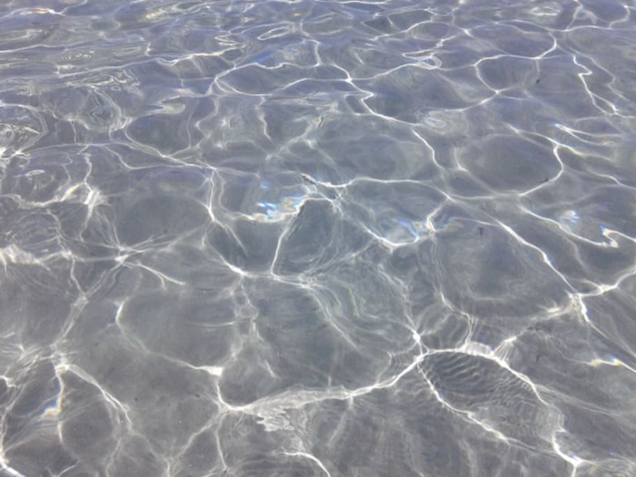mare