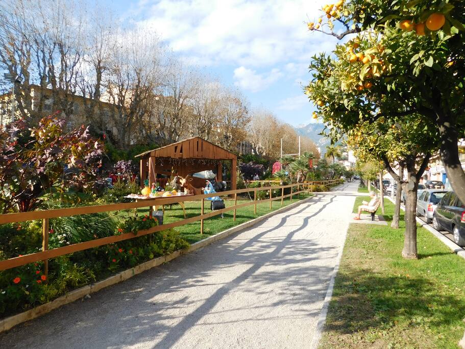 jardin Biovès en face de l'appartement