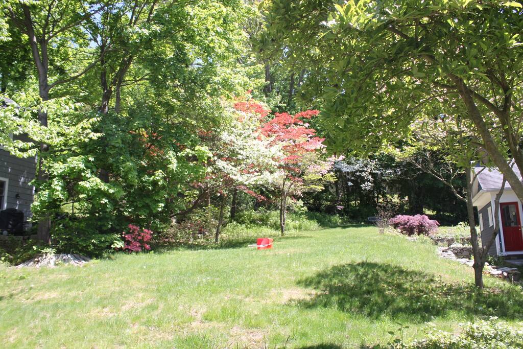 Yard