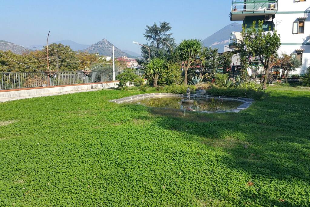 Grande giardino sul quale è possibile fare colazione...