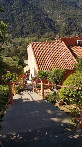 Airbnb Porto Vacation Rentals Places To Stay Corse France
