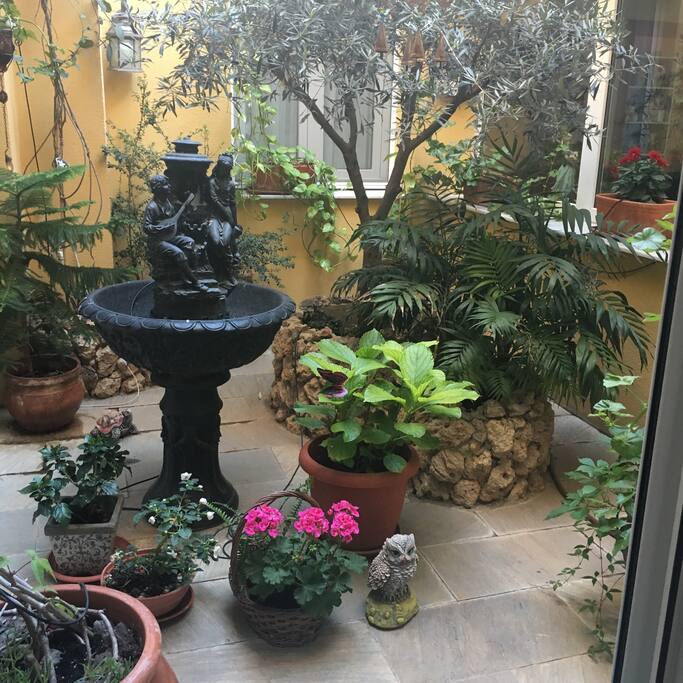 Patio interior