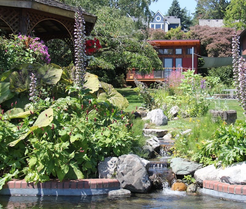 View of the studio and creek