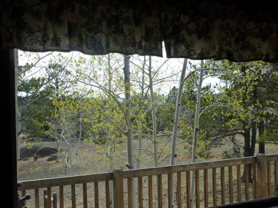 What a view from the big picture window!!