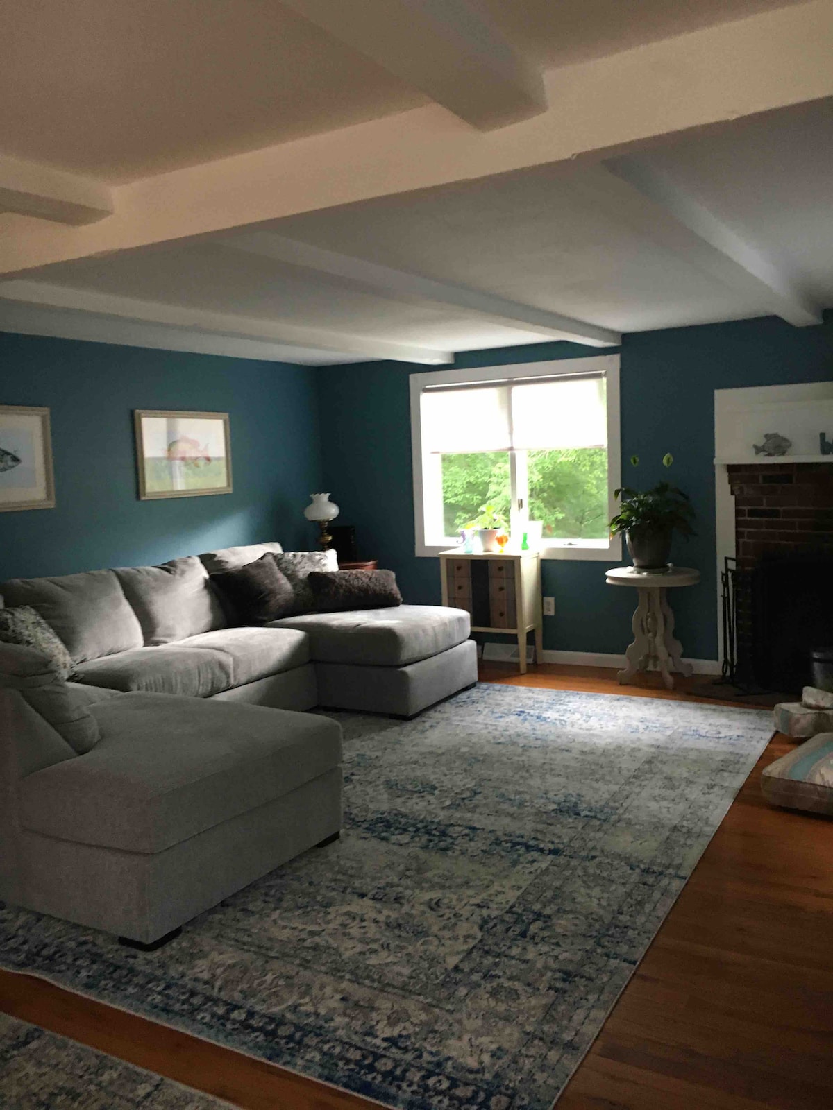 A spacious living area features a comfortable sectional sofa in light grey. A patterned area rug lies beneath, complementing the blue walls. Natural light fills the space through a large window with a view of greenery. A plant and decorative items add charm to the room.