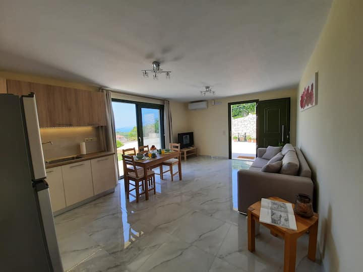 Пространа дневна соба и комплетно опремена кујна 