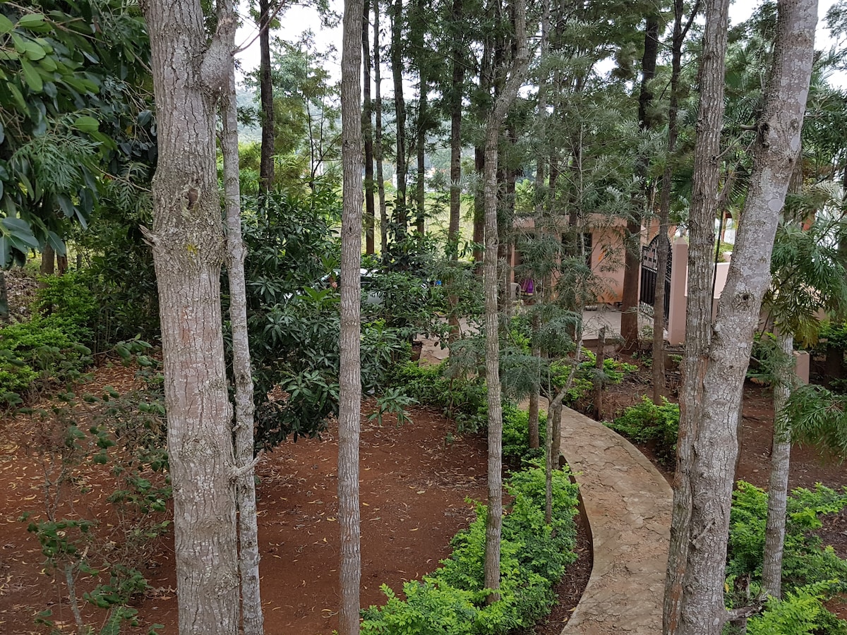 A serene garden area is surrounded by tall silver oak trees, creating a sense of privacy. A stone pathway winds through lush greenery, leading towards a secluded entrance. The natural setting offers a tranquil environment, inviting relaxation and exploration.