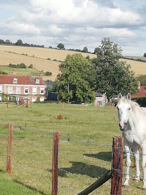 Charming village near Stonehenge - self-catering.